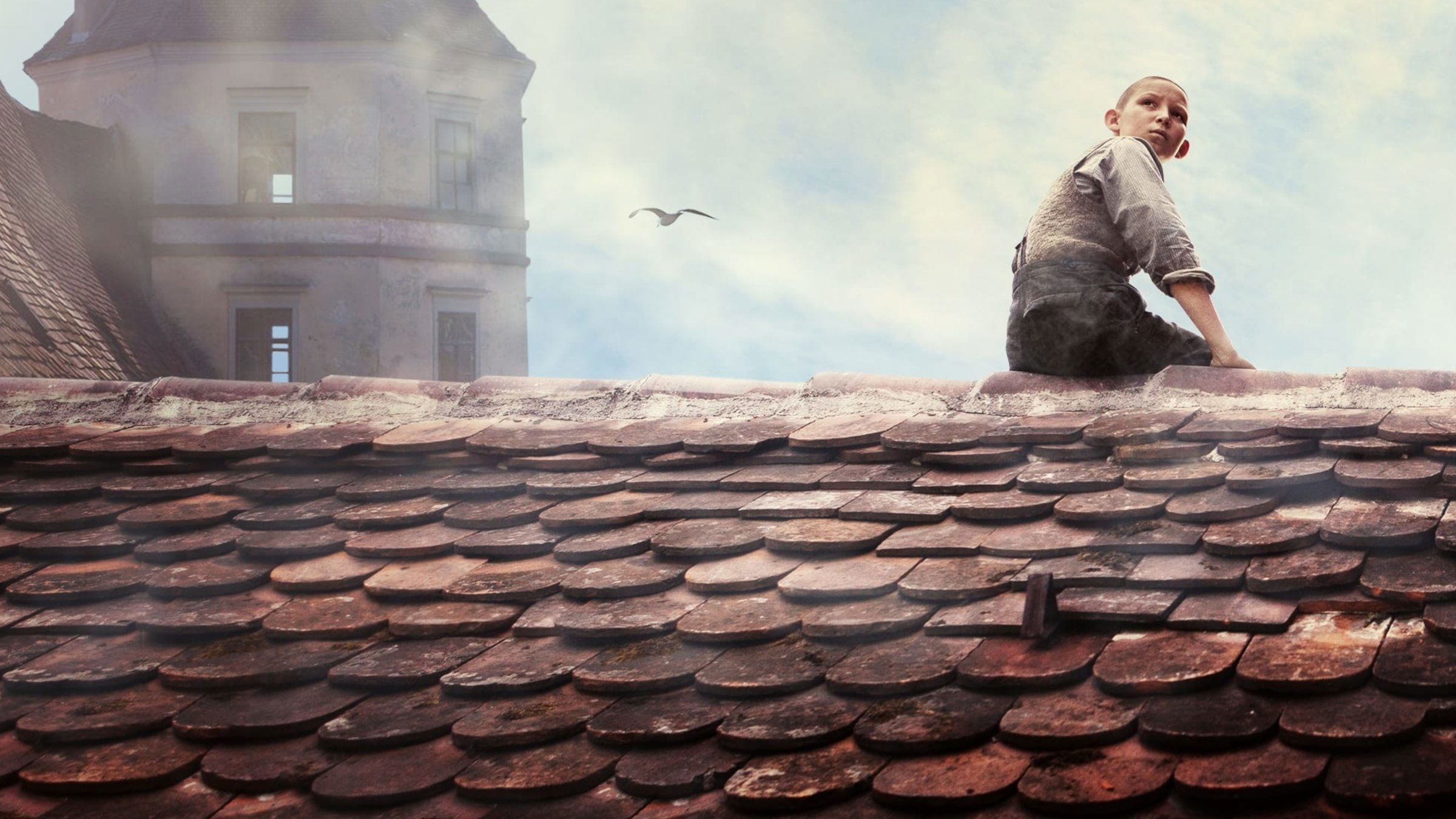 Fog in August Background