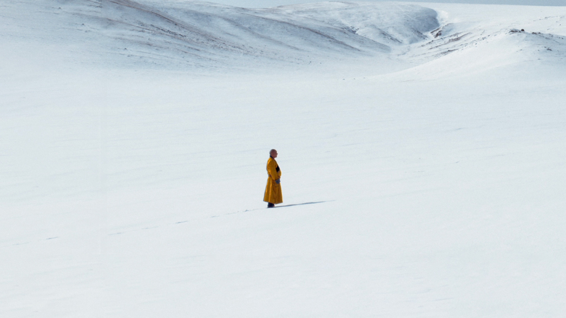 The Medicine Buddha Background