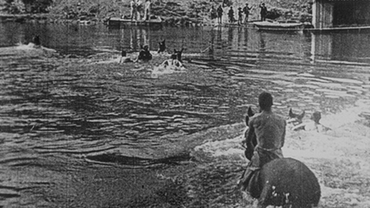 Dragoons Crossing the Sâone Background