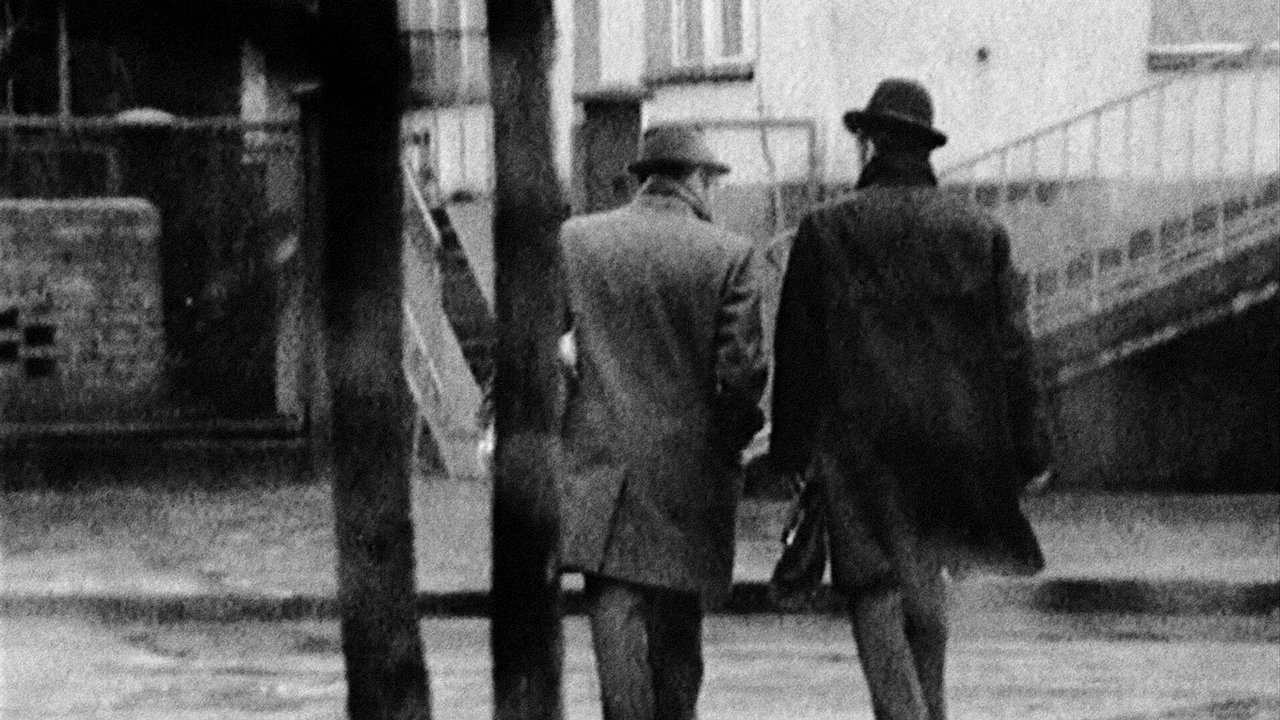 An Ordinary Country Background