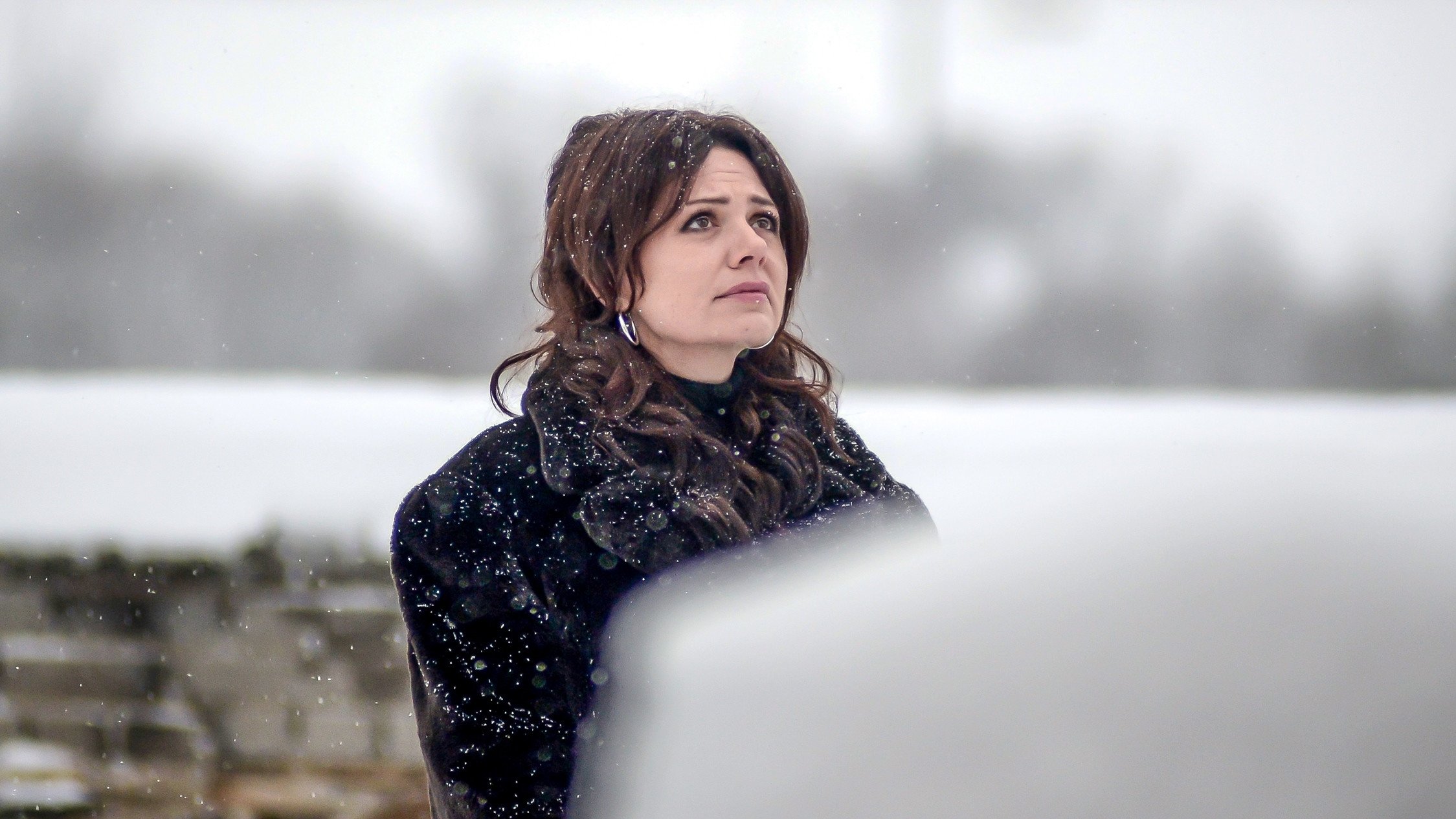 Mr. and Mrs. Stodola Background