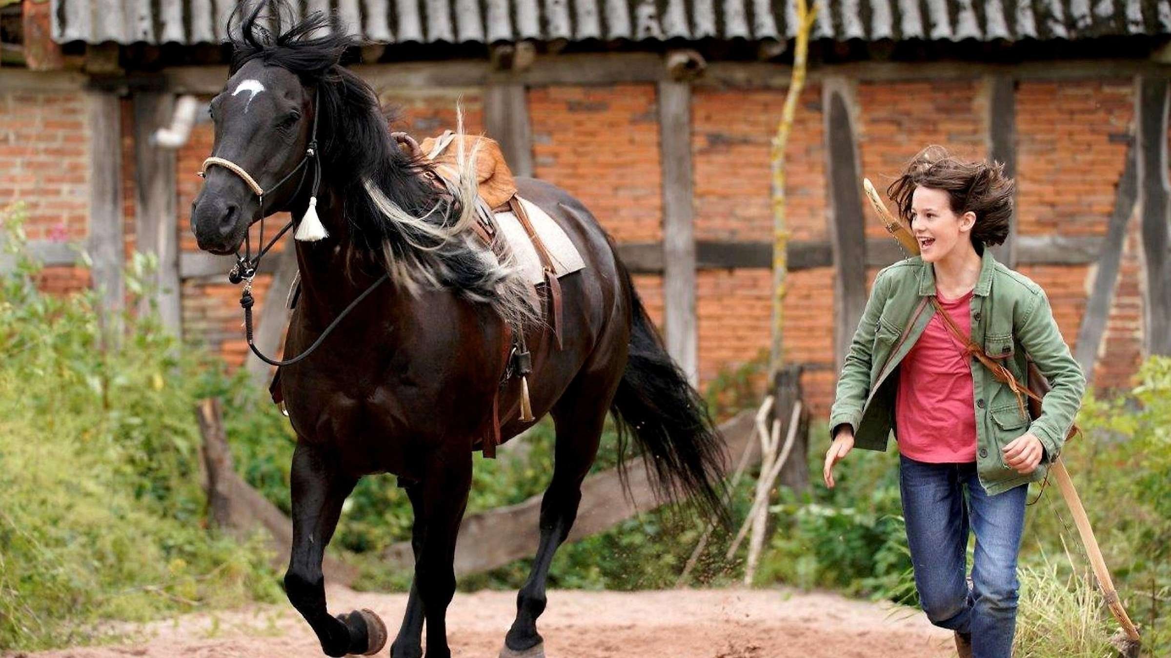 Windstorm: The Great Hurricane Background