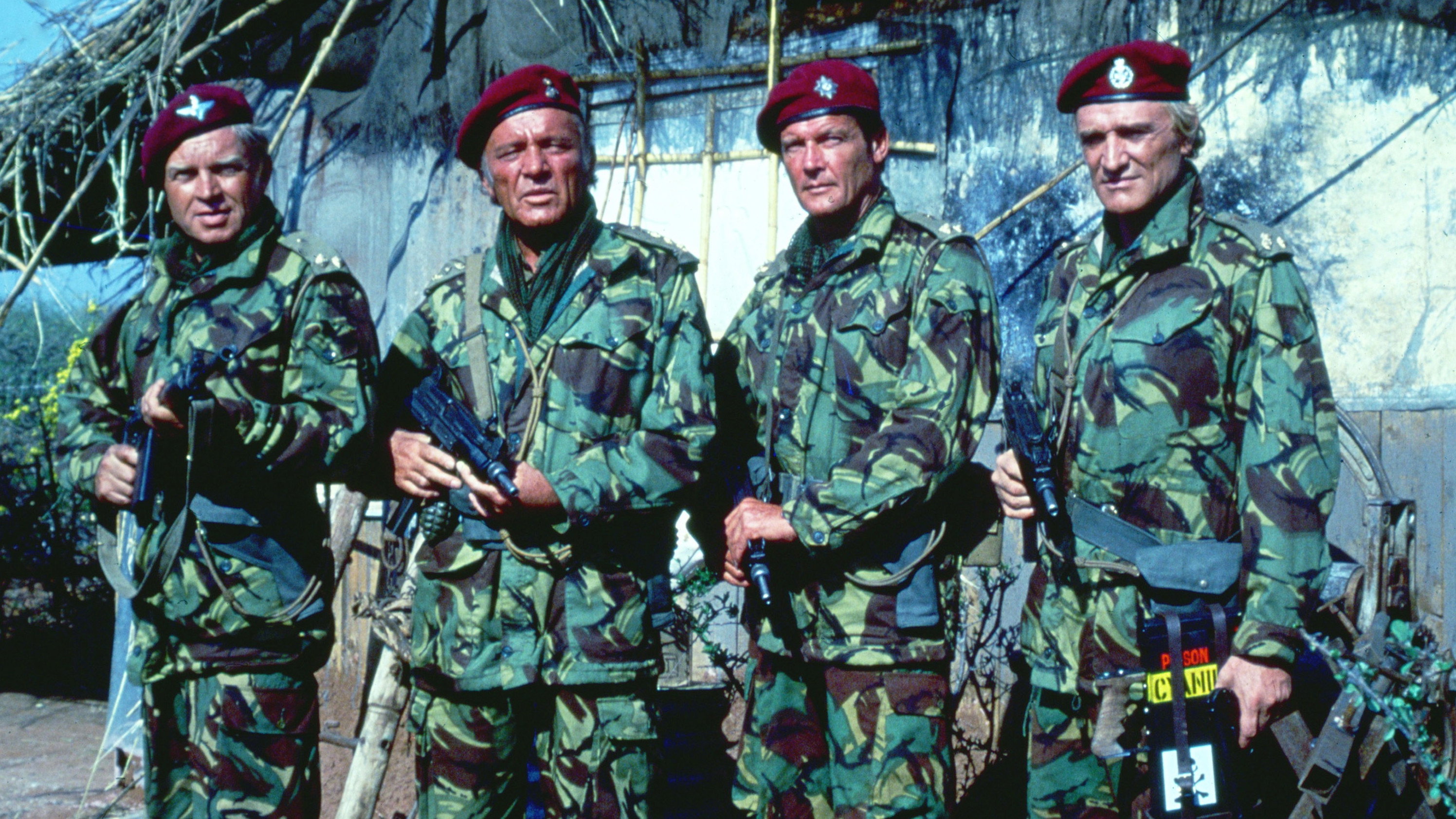The Wild Geese Background