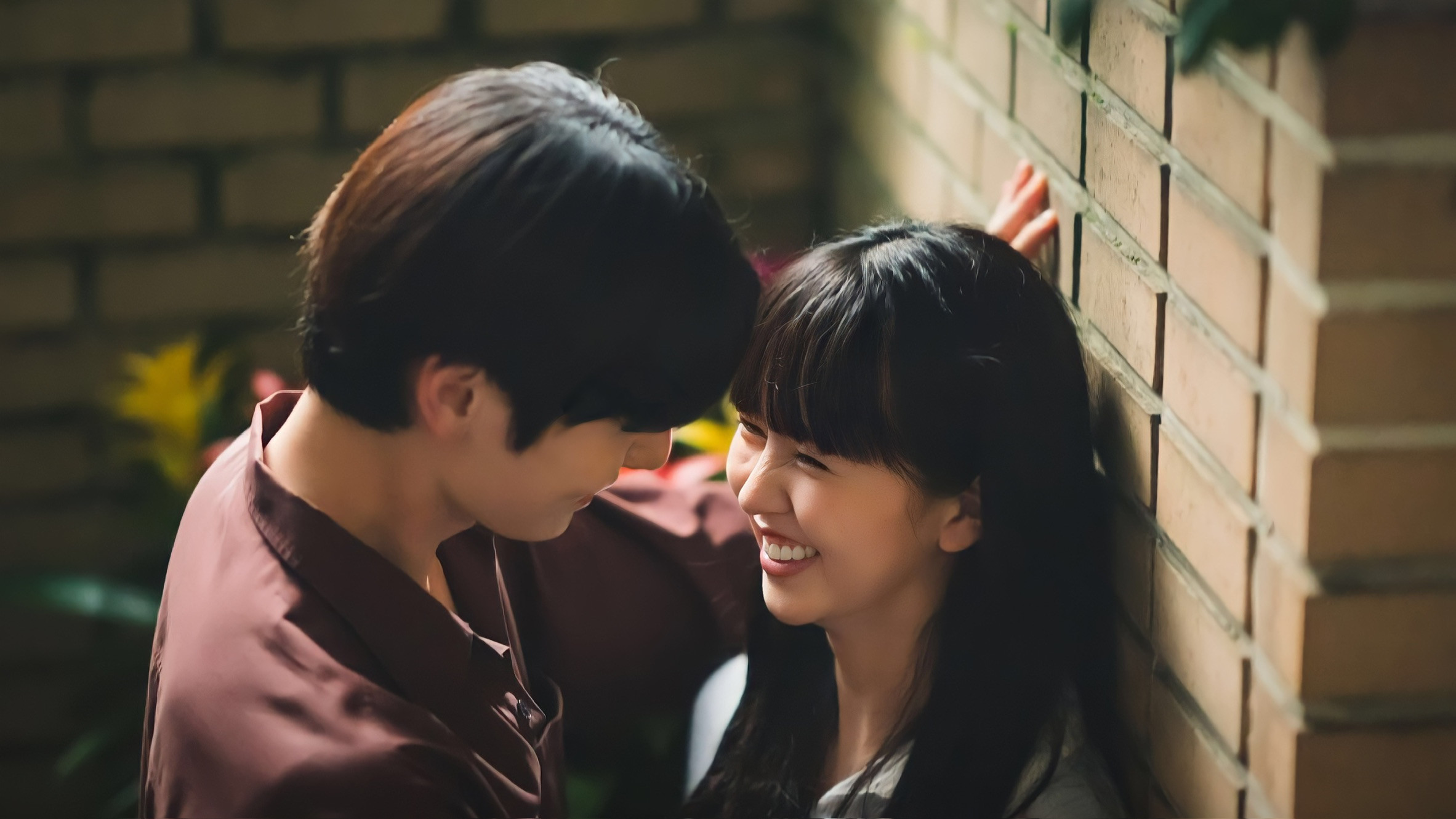 My Lovely Liar Background