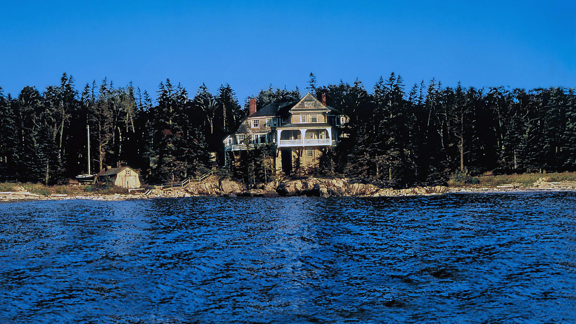 The Man Without a Face Background