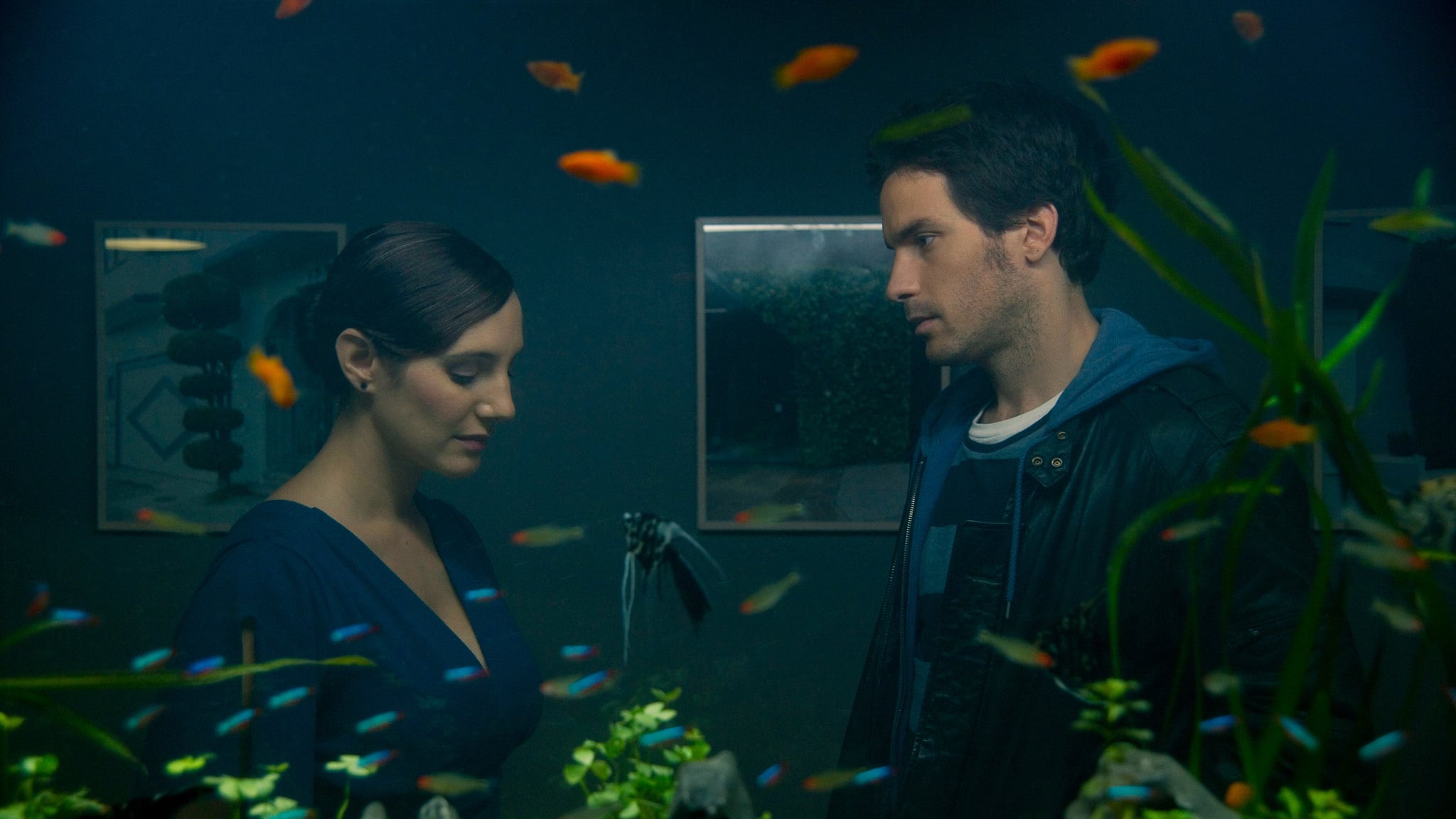 La vida de los peces Background