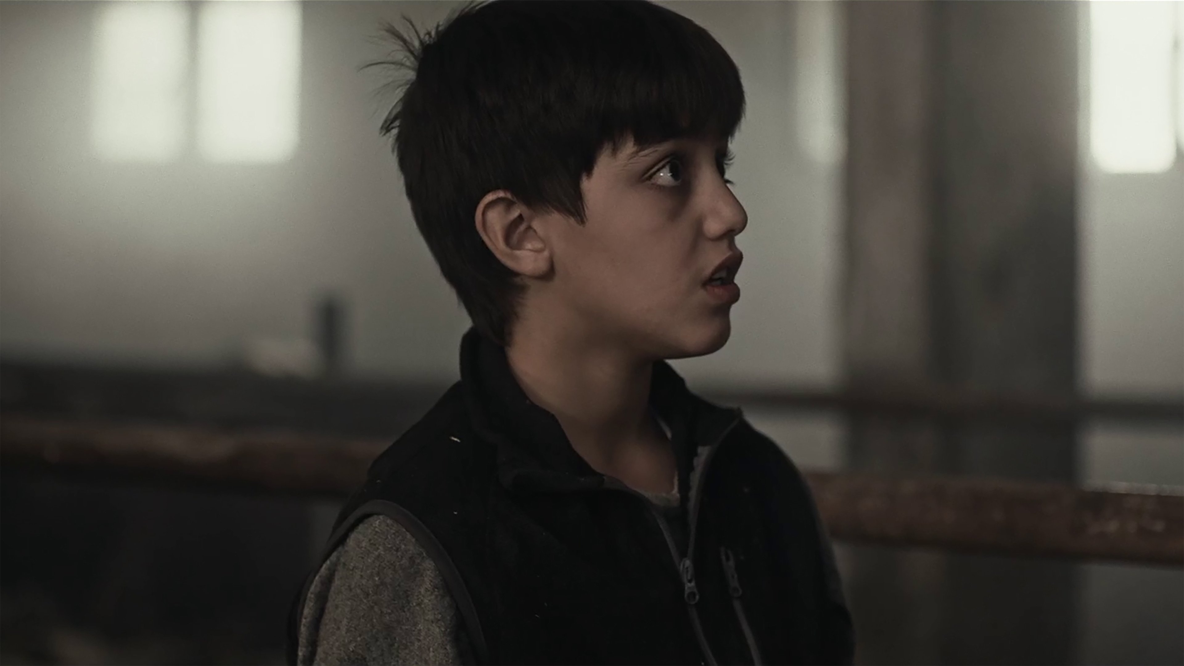 When the Walnut Leaves Turn Yellow Background