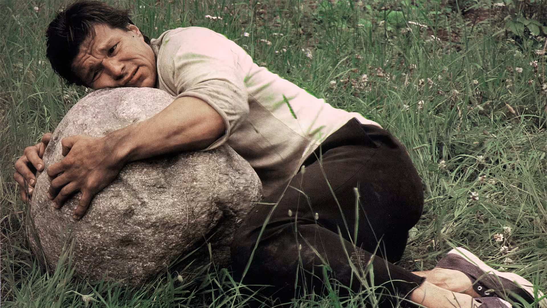 The Last Wedding Background