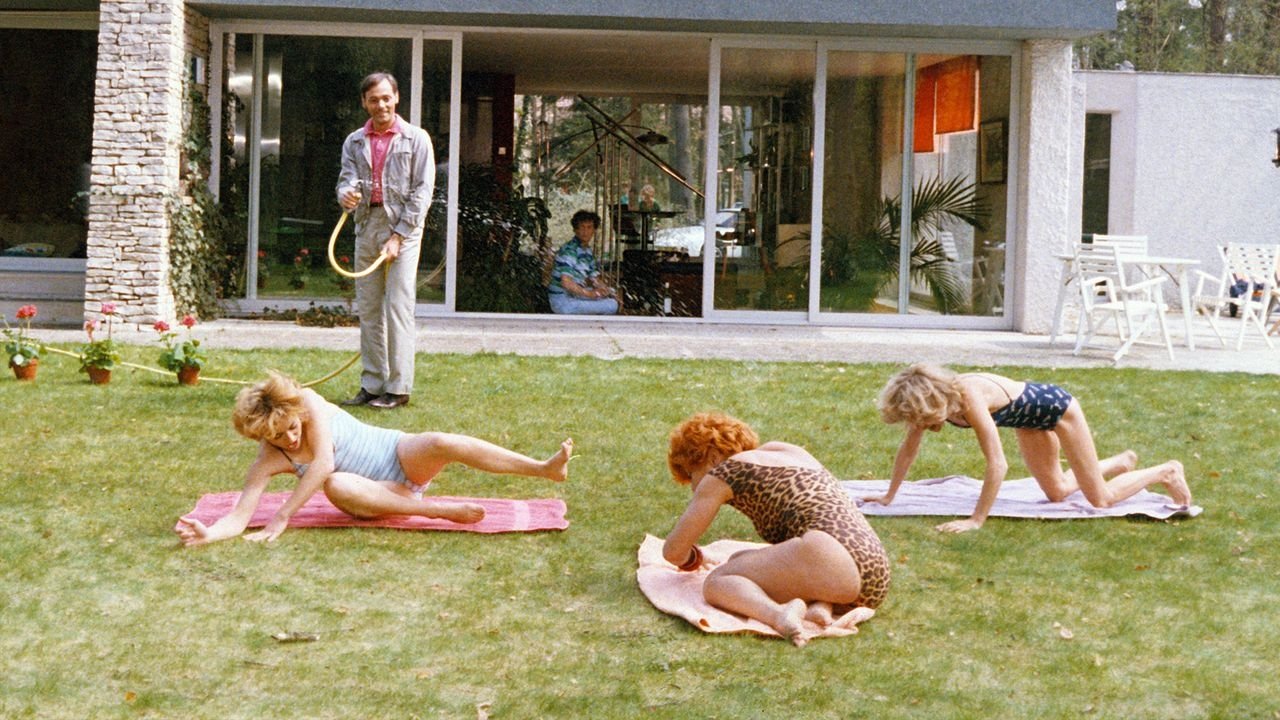 Paradise for All Background