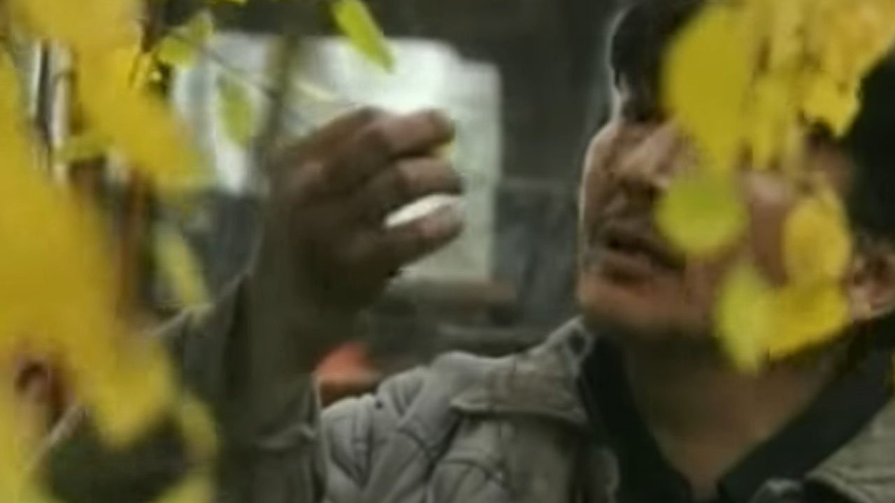 The Thread of Dreams Background