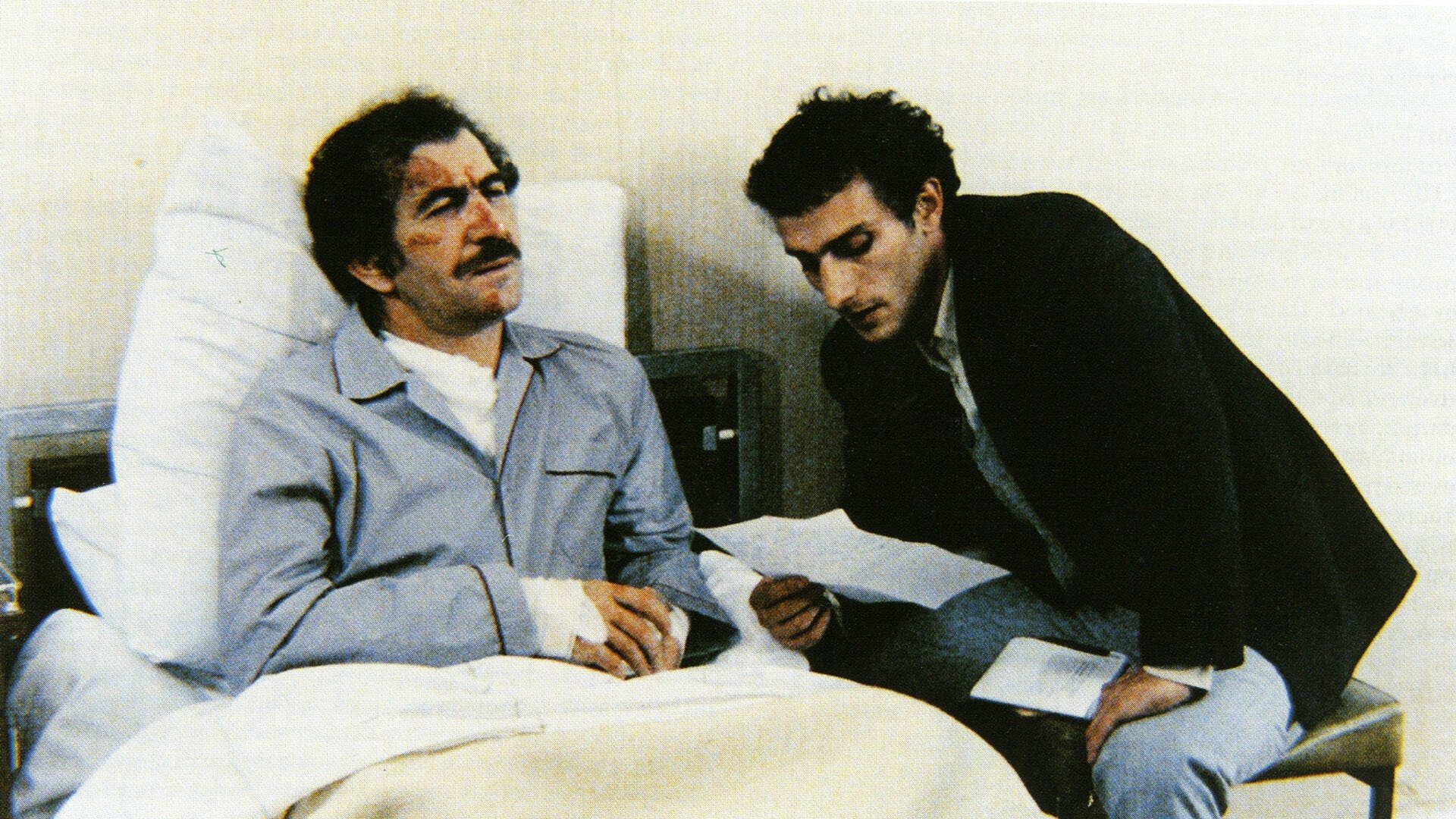 The Photograph Background