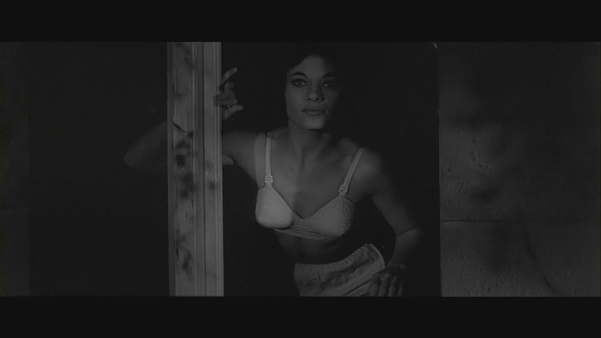 Curse of the Fly Background