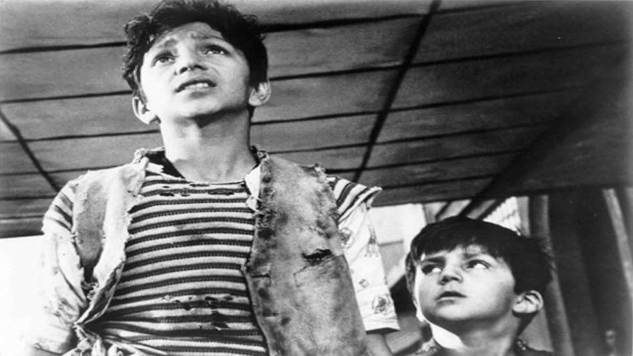 El Camino de la Vida Background