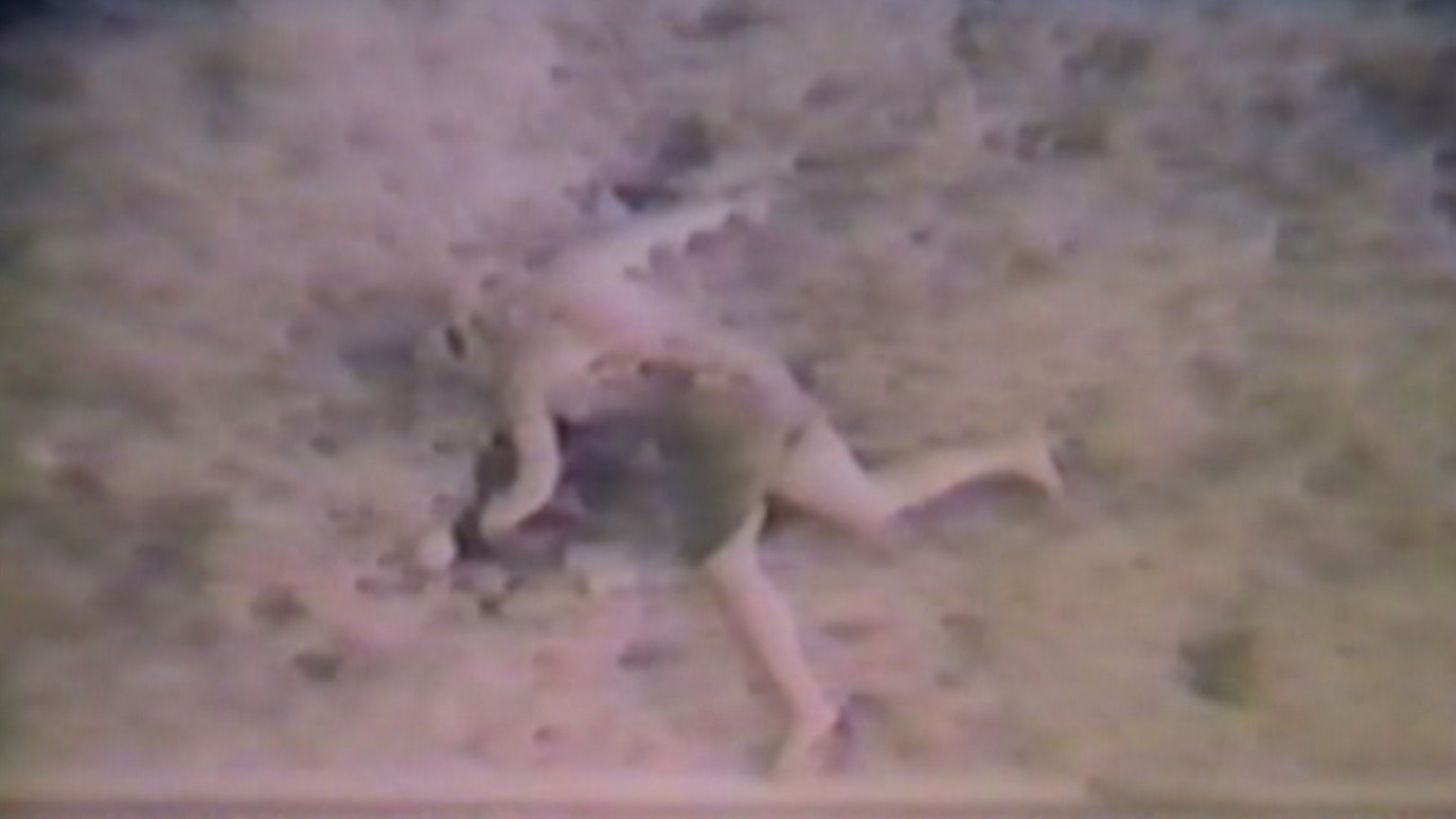 The Diane Linkletter Story Background