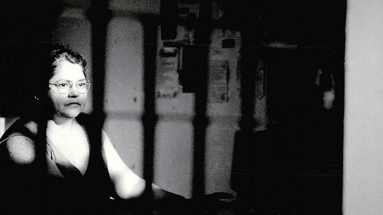 Socorro Nobre Background