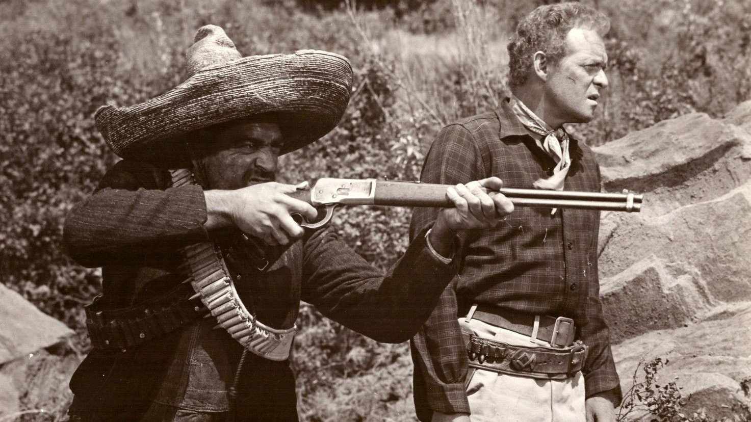 Wings of the Hawk Background