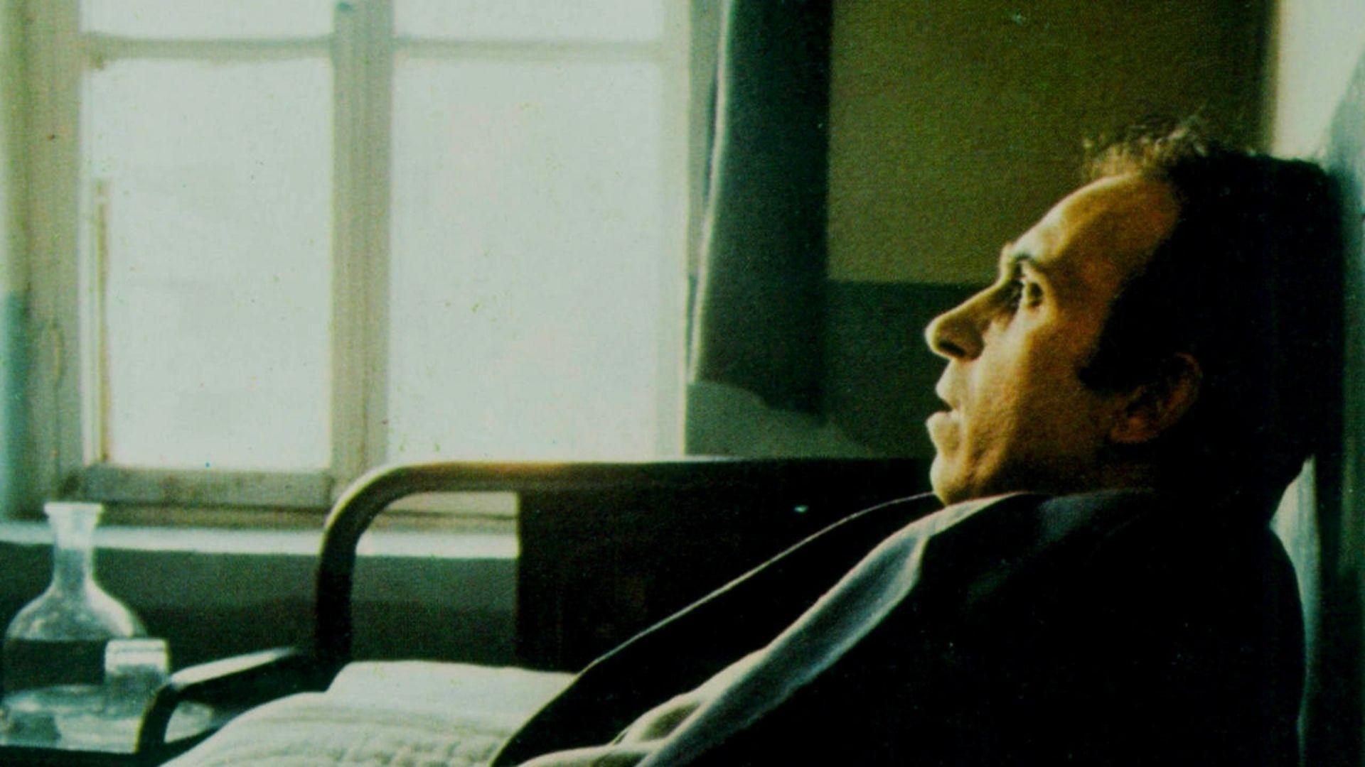 Motherland Hotel Background