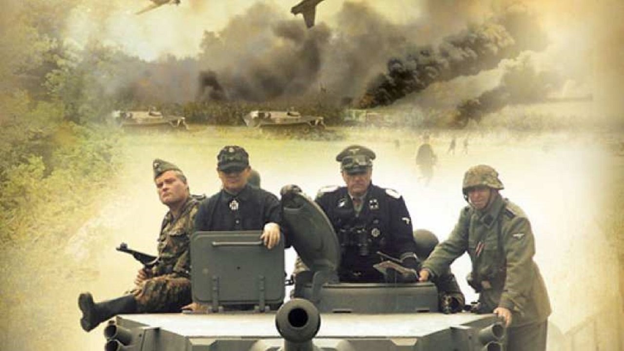 Red Rose of Normandy Background