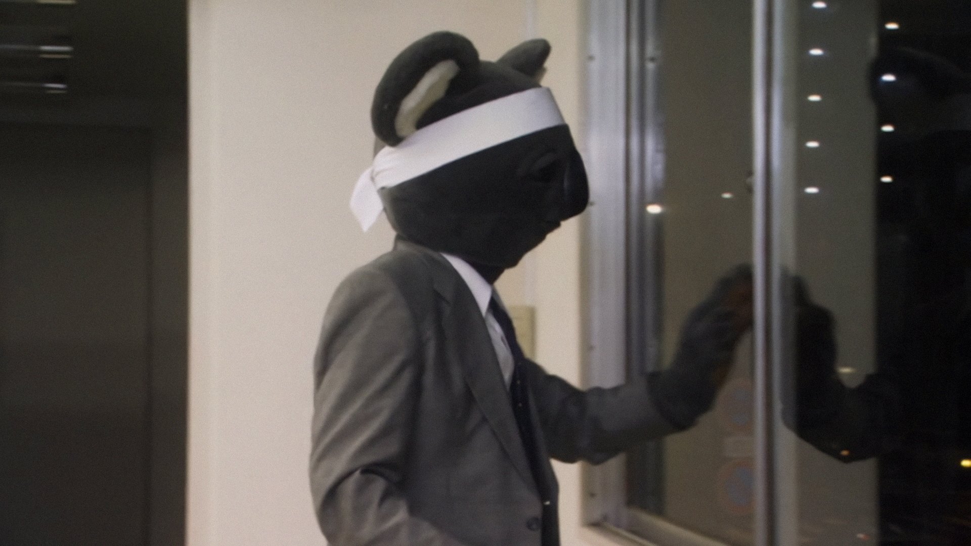 Executive Koala Background