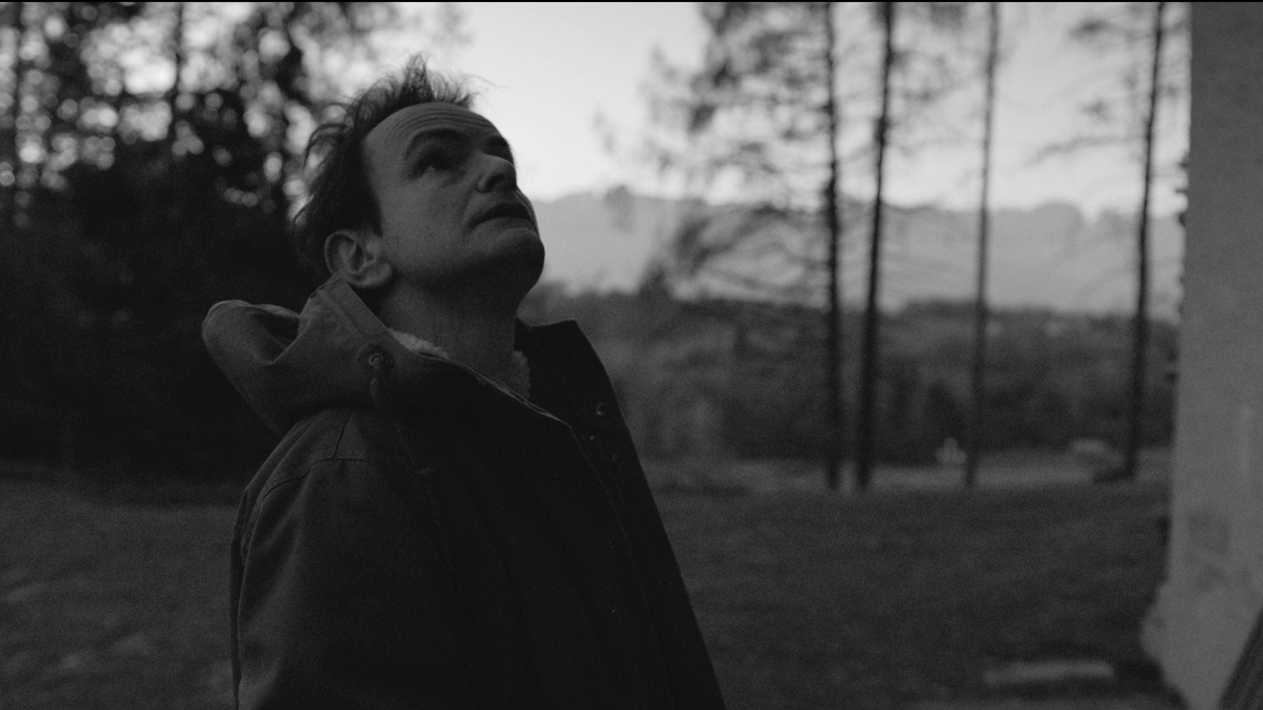 Other Cannibals Background