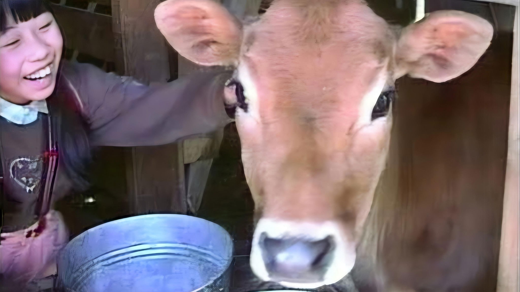 Lessons from a Calf Background