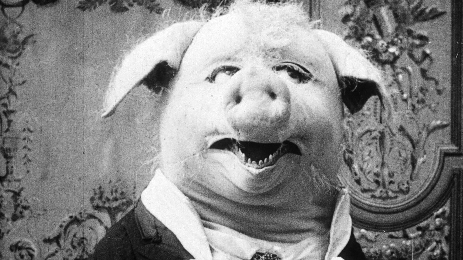 The Dancing Pig Background