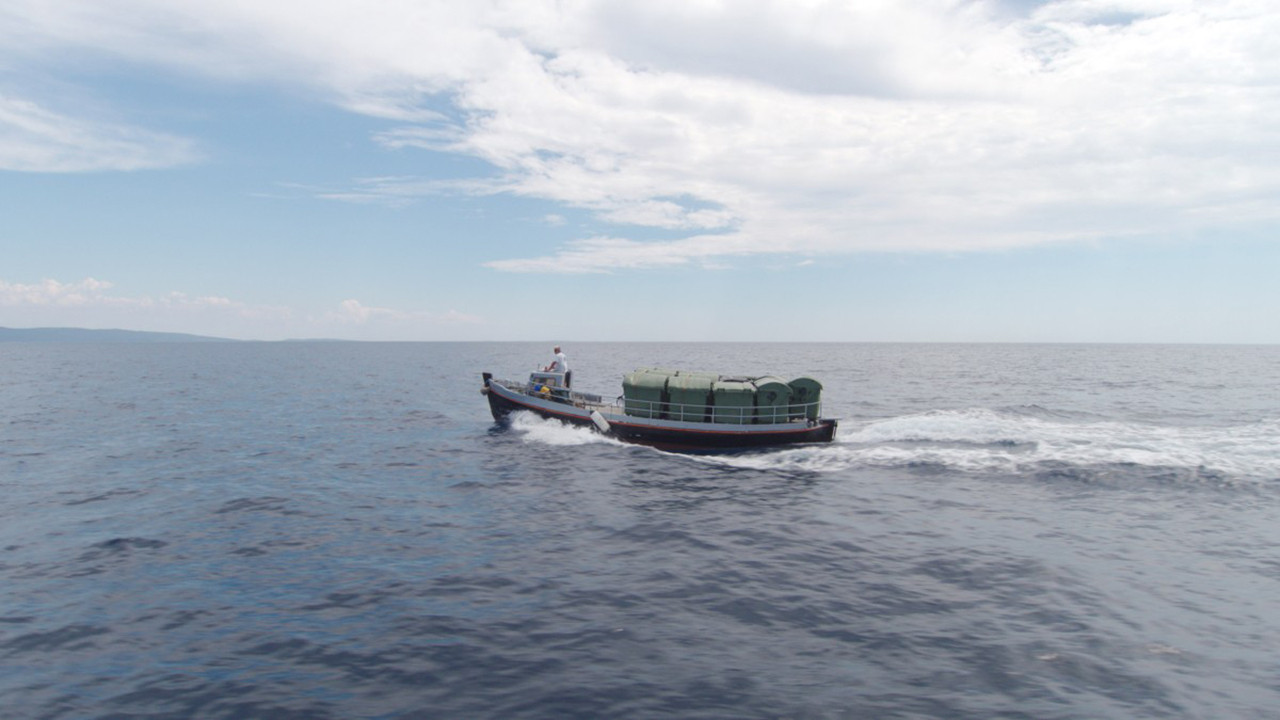 Matter Out of Place Background