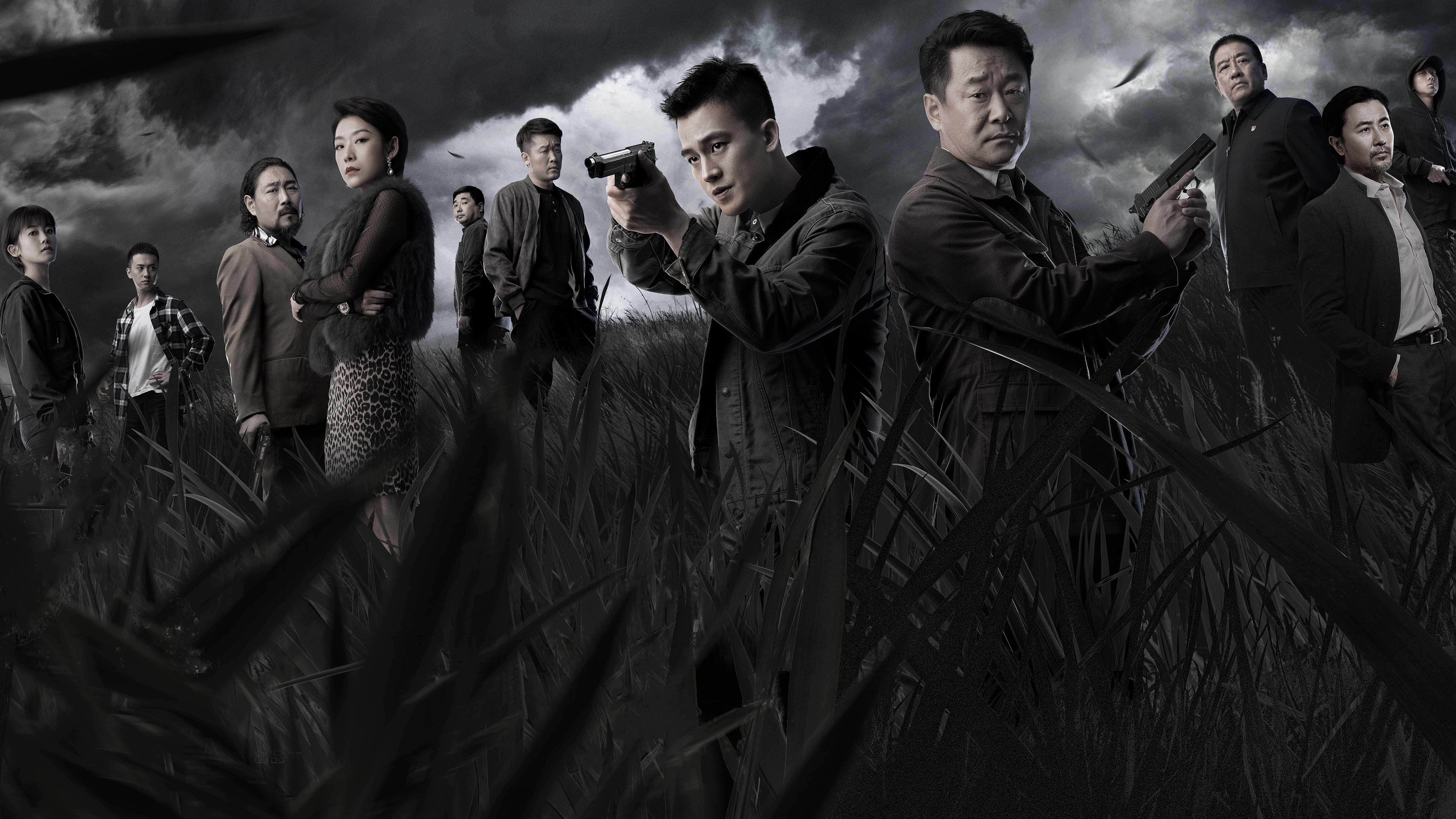 The Fight Background