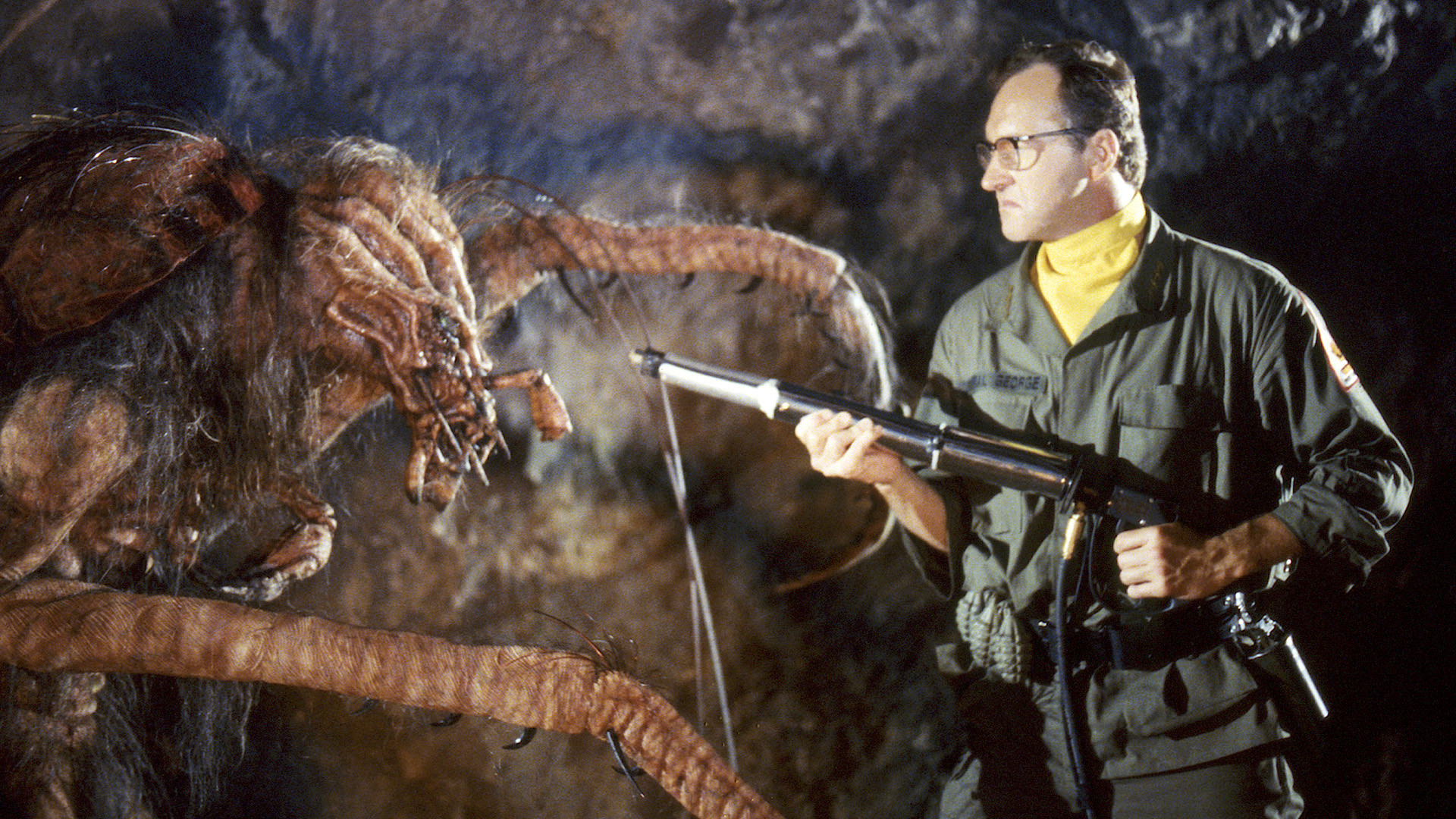 Bug Buster Background