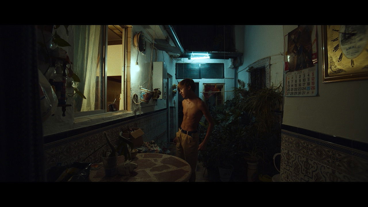 El cuento del limonero Background