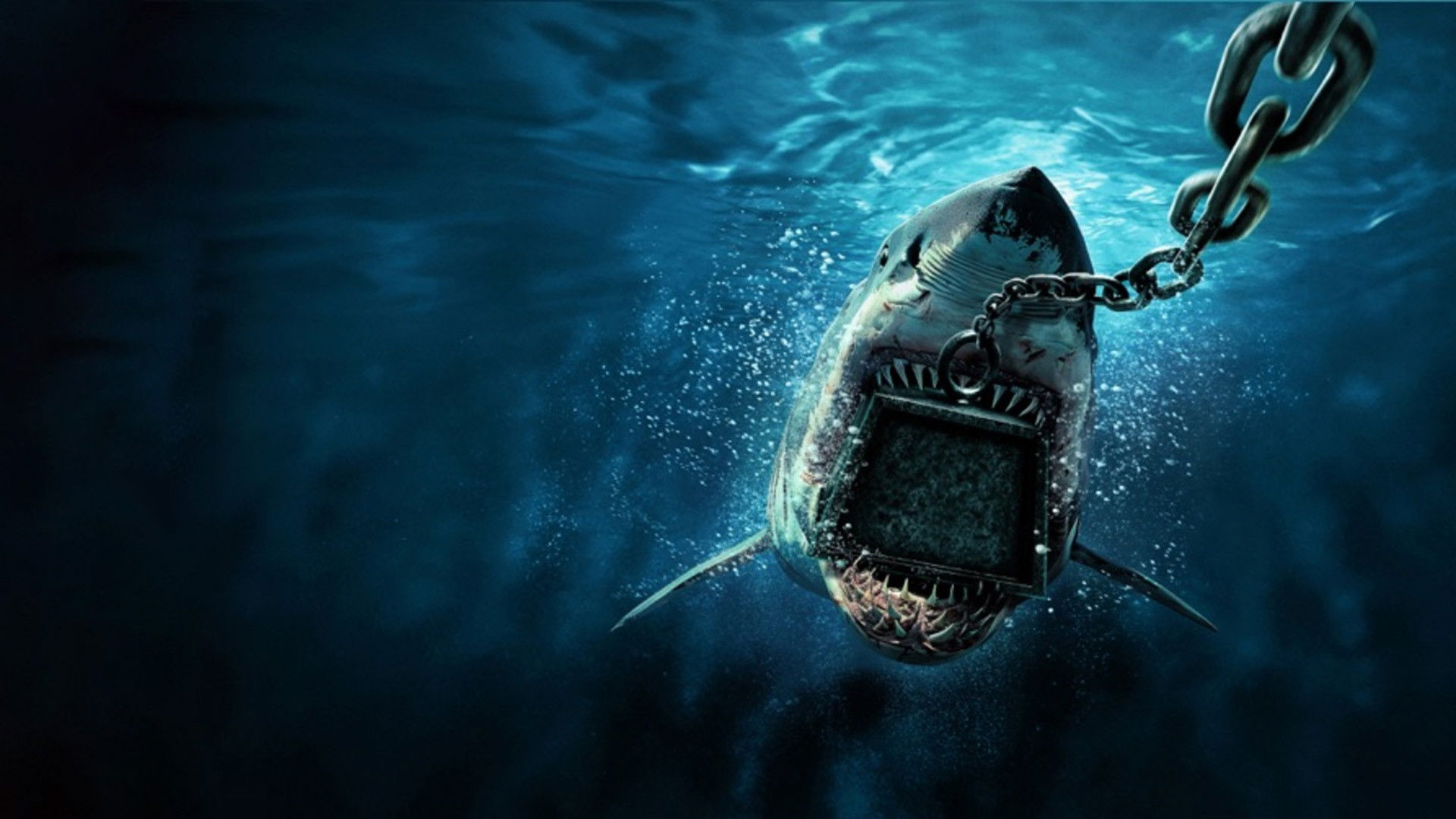 6000 LB Shark Background