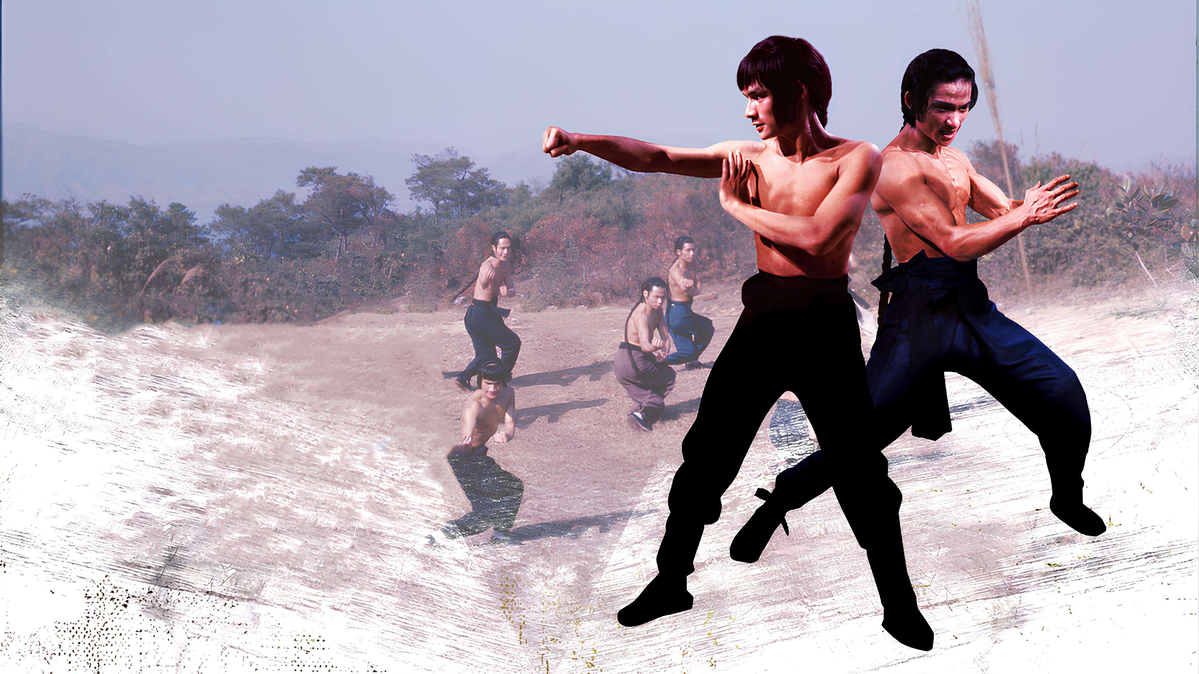 Shaolin Martial Arts Background