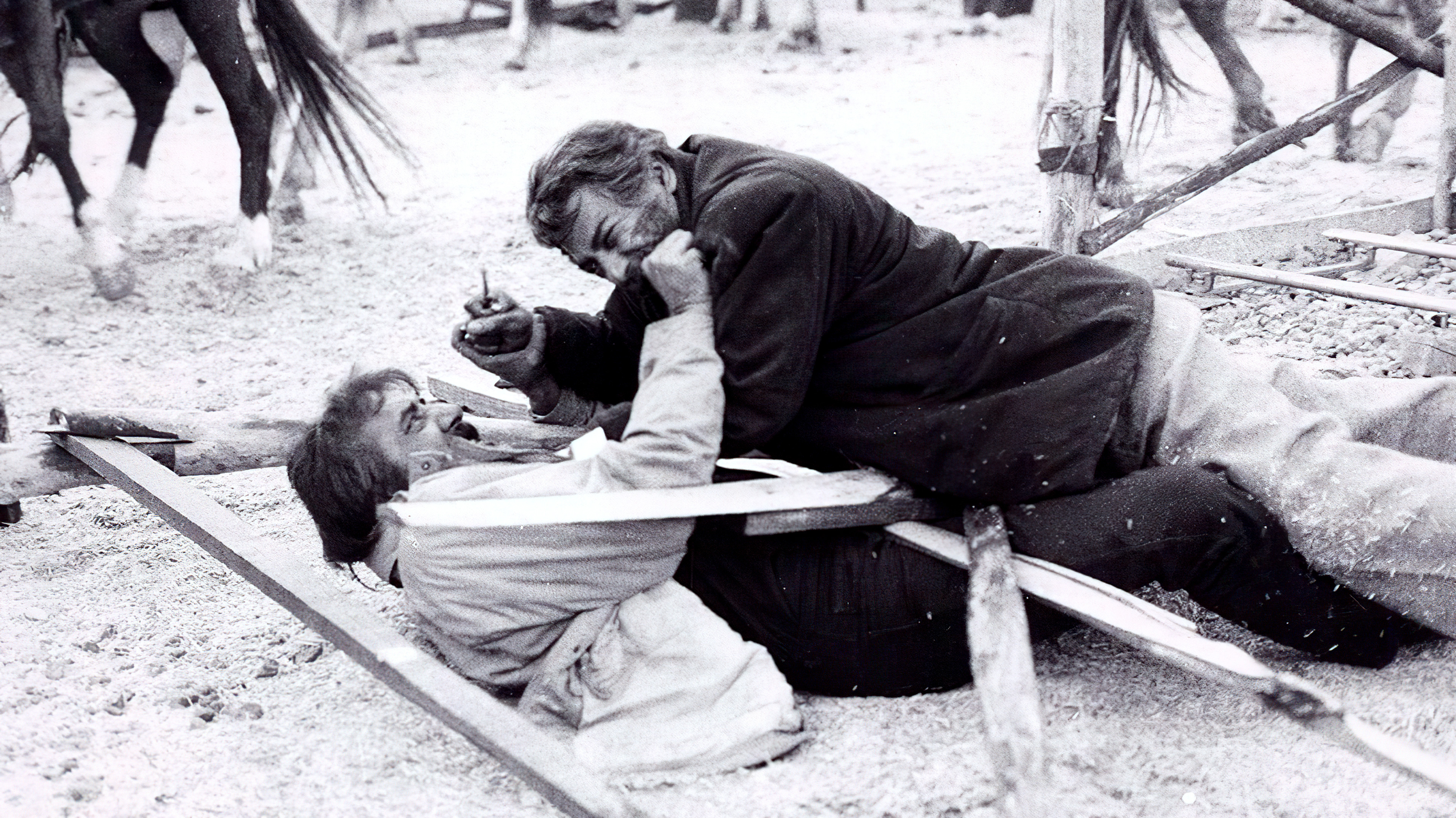 The Wolf's Trail Background