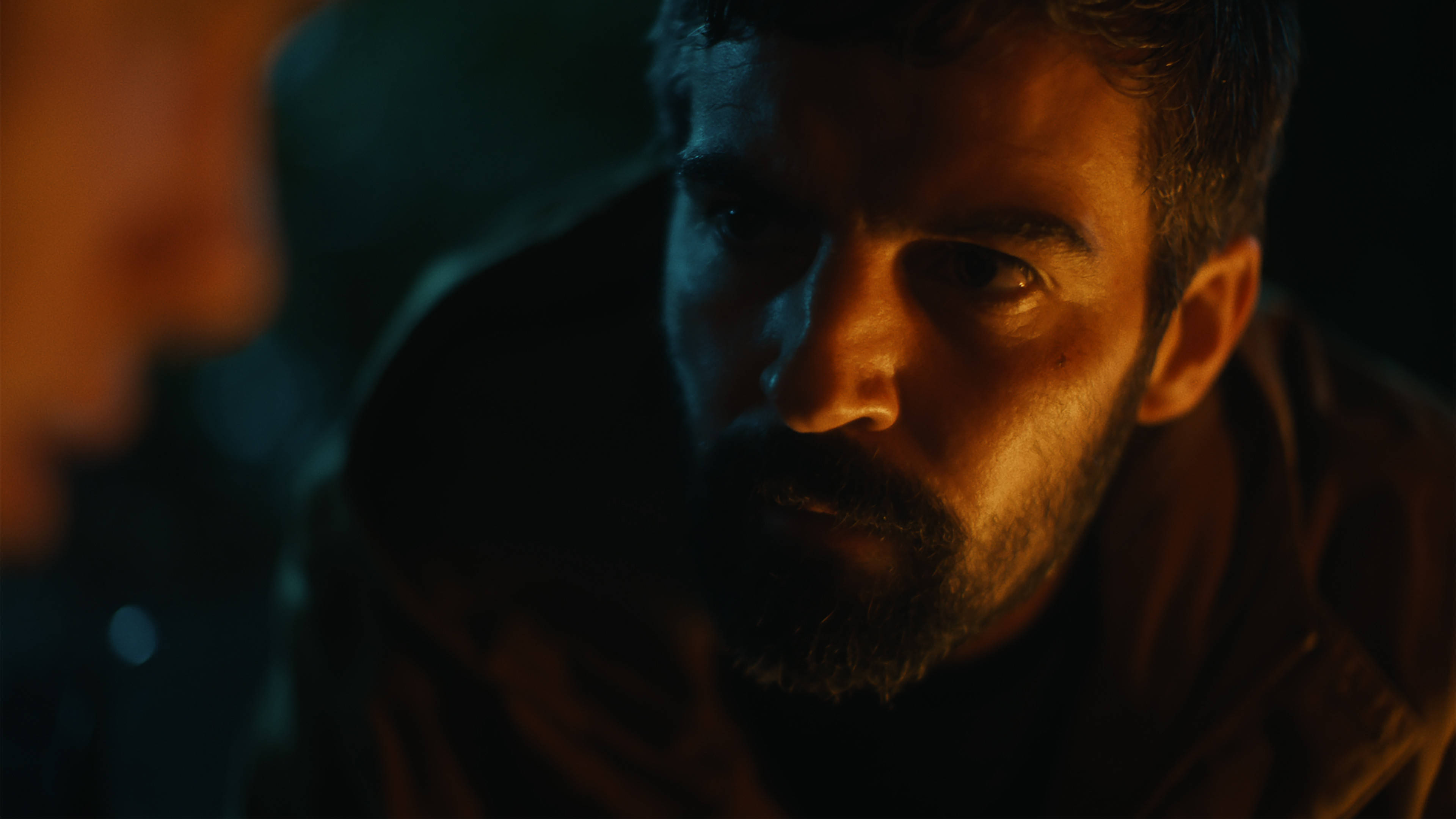 Amongst the Wolves Background