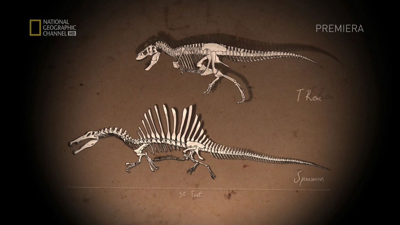 Bigger Than T.Rex Background