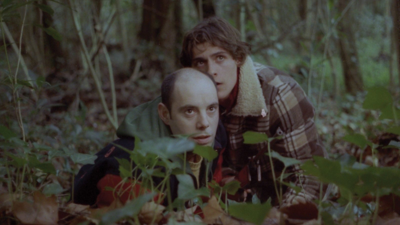 The Face You Deserve Background