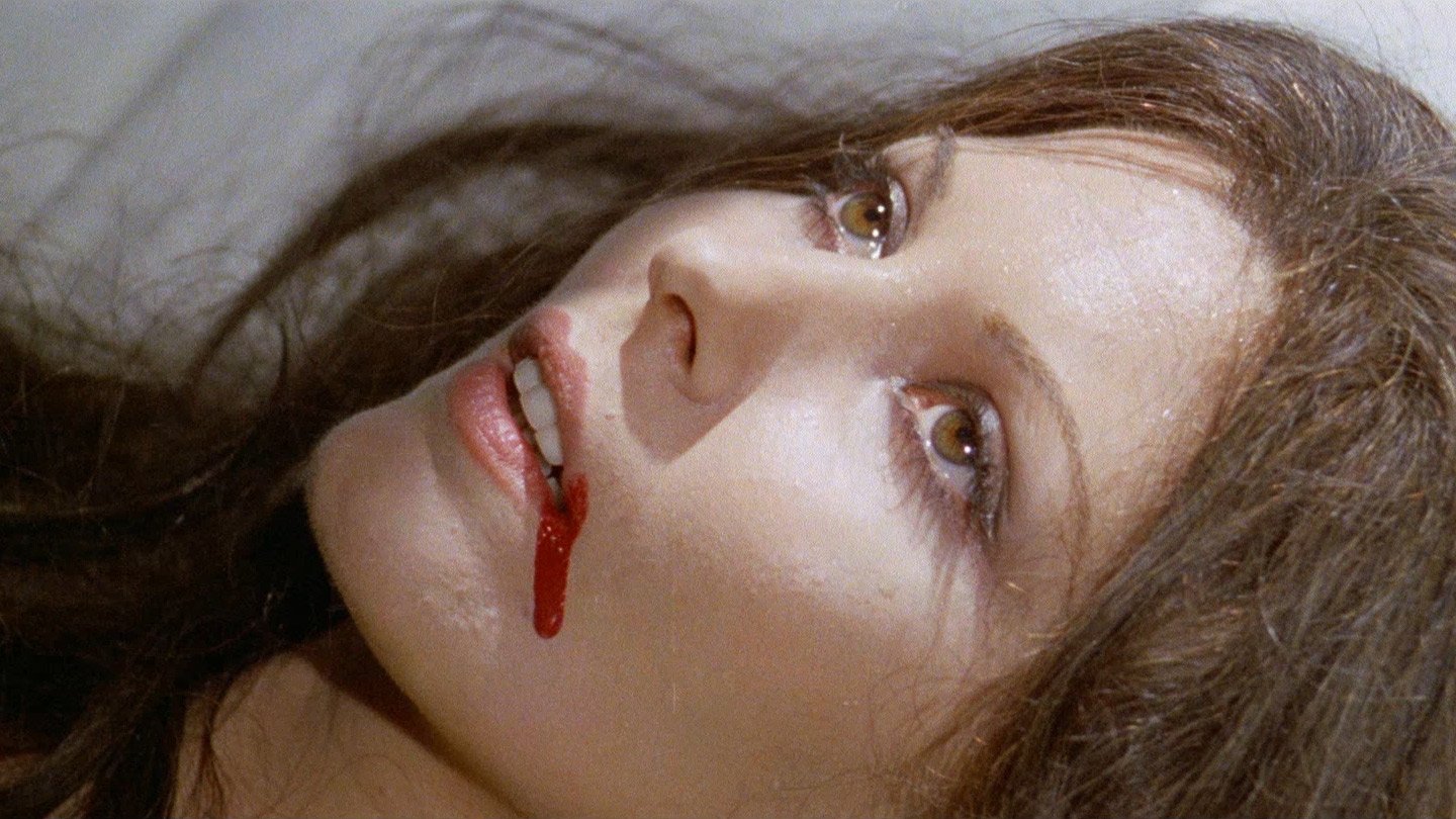 All the Colours of the Dark Background