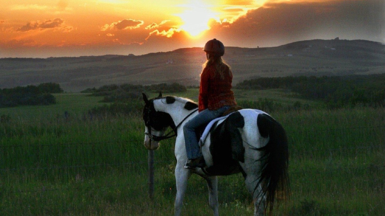 Moondance Alexander Background