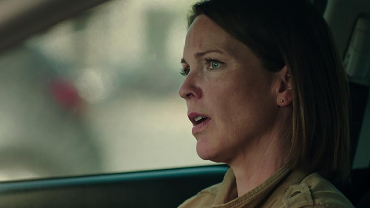 Early Release Background