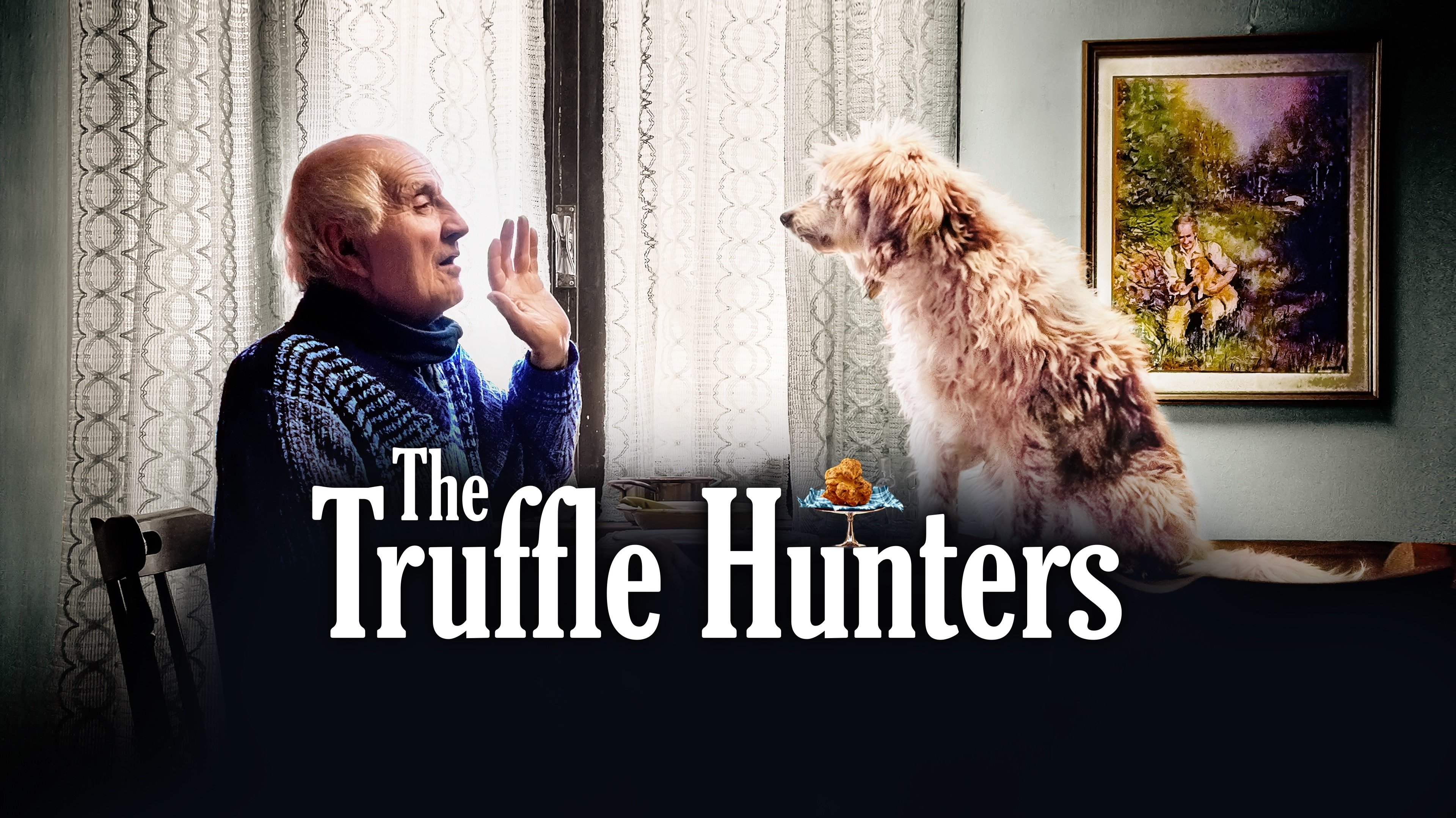 The Truffle Hunters Background