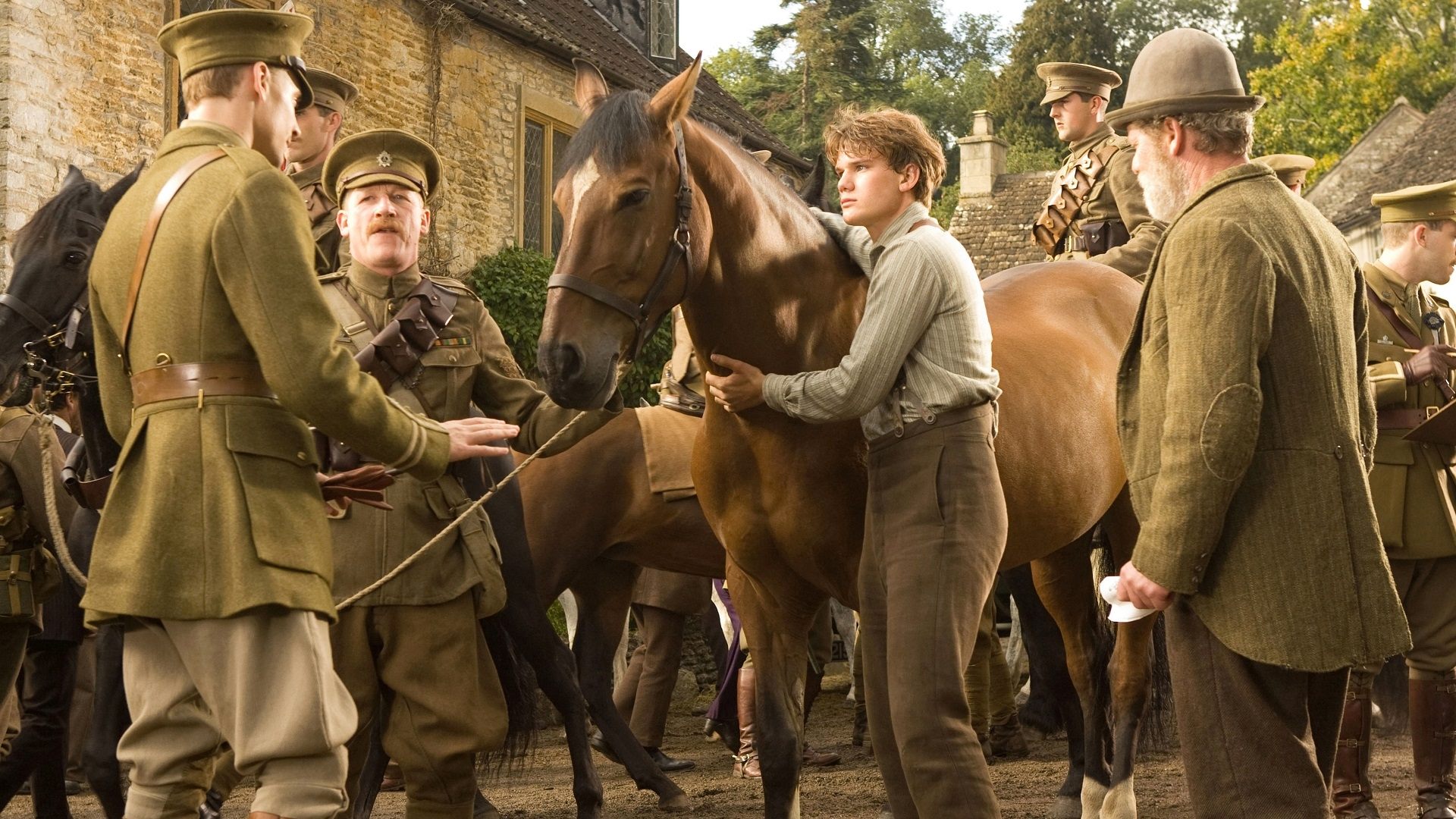 War Horse Background