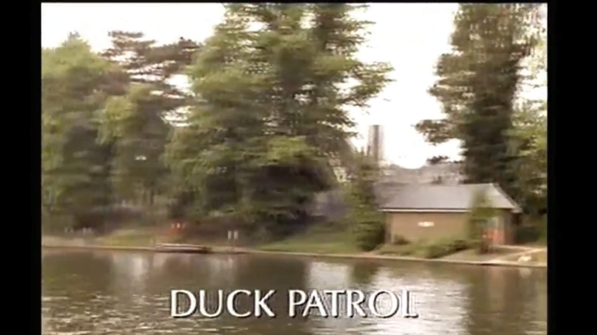 Duck Patrol Background