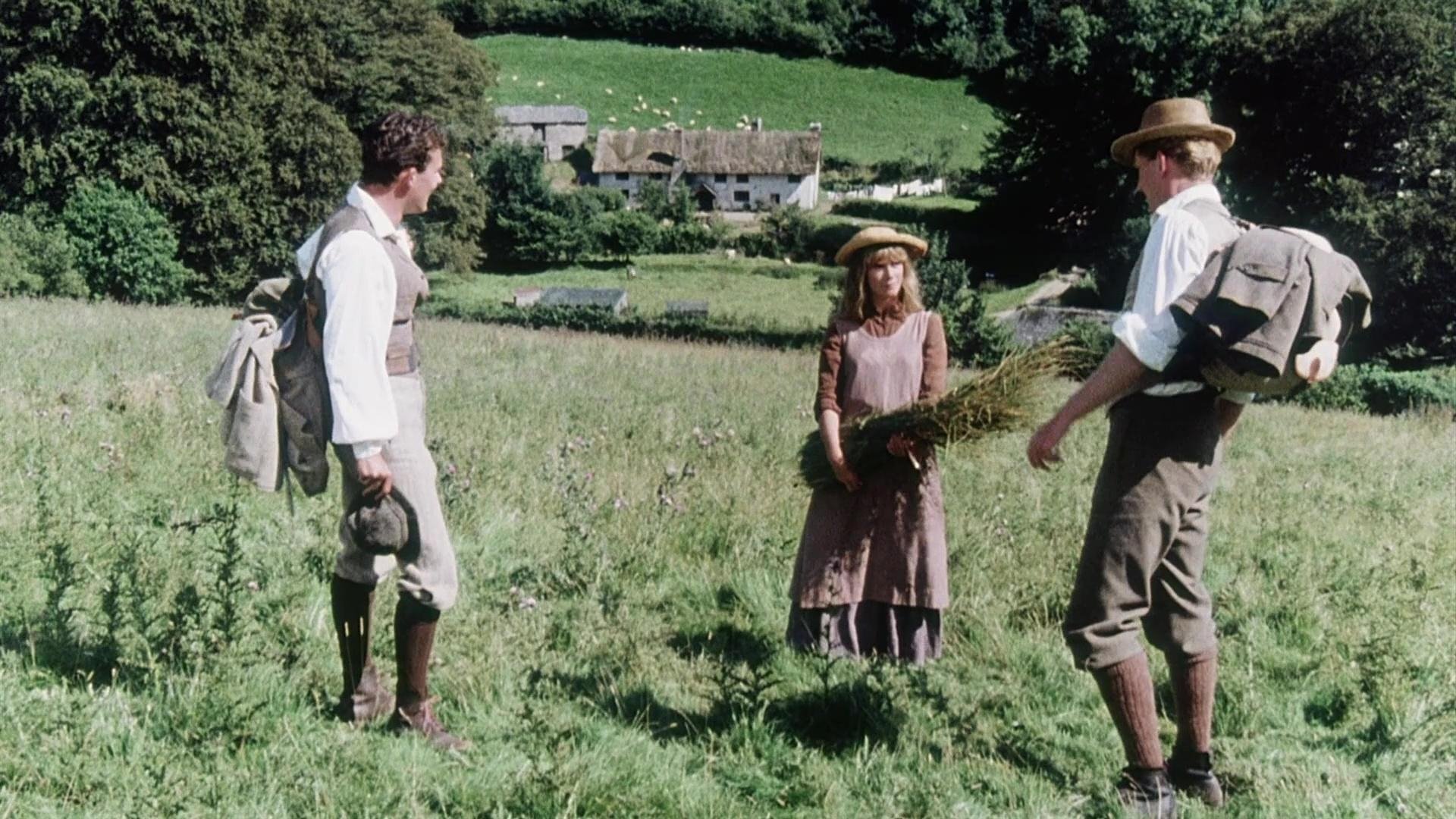 A Summer Story Background