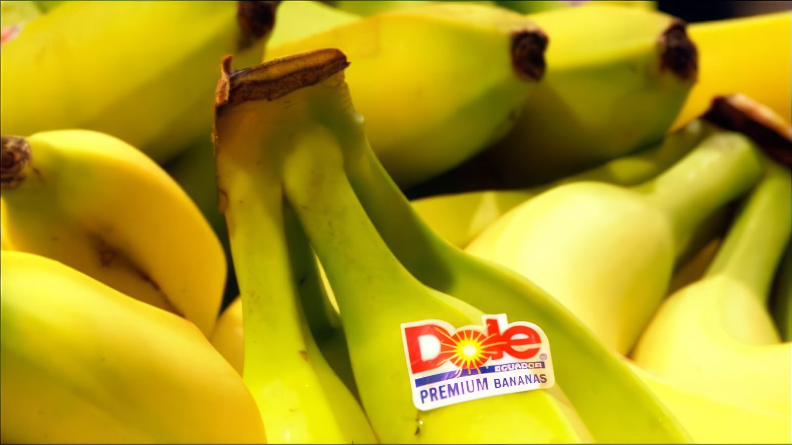 Big Boys Gone Bananas!* Background