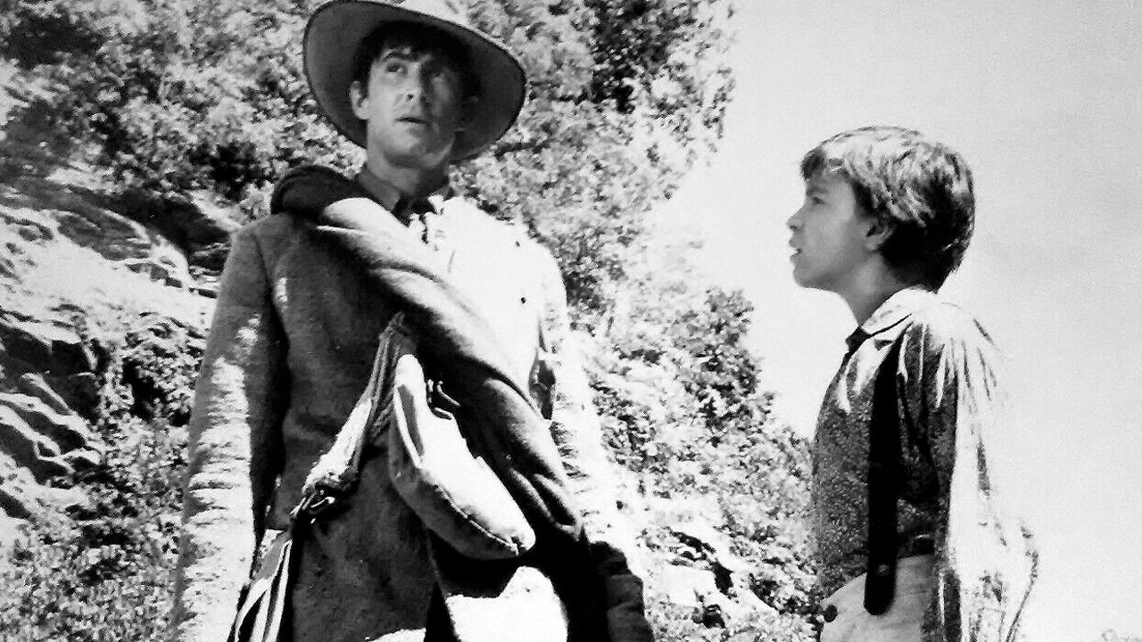 The Fool Killer Background