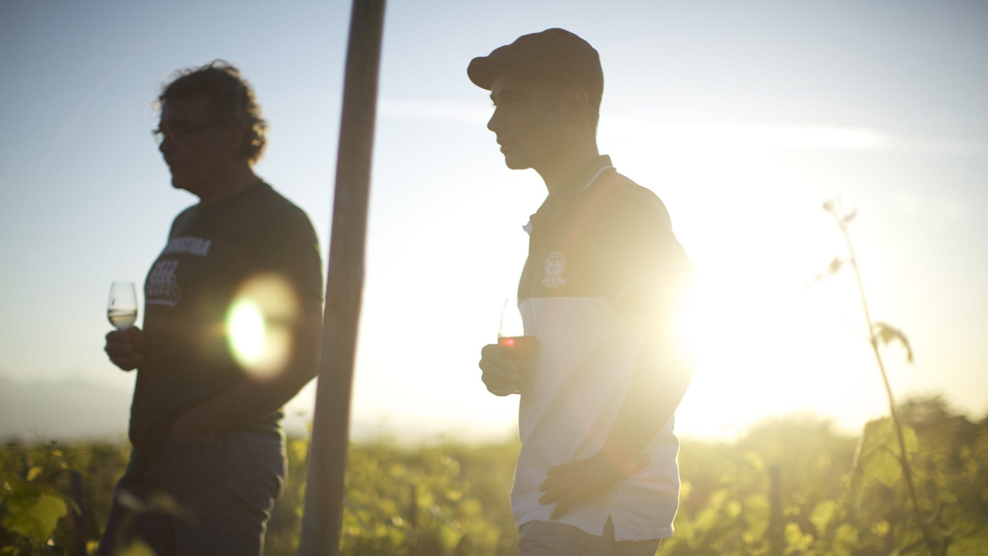 Wine Calling Background