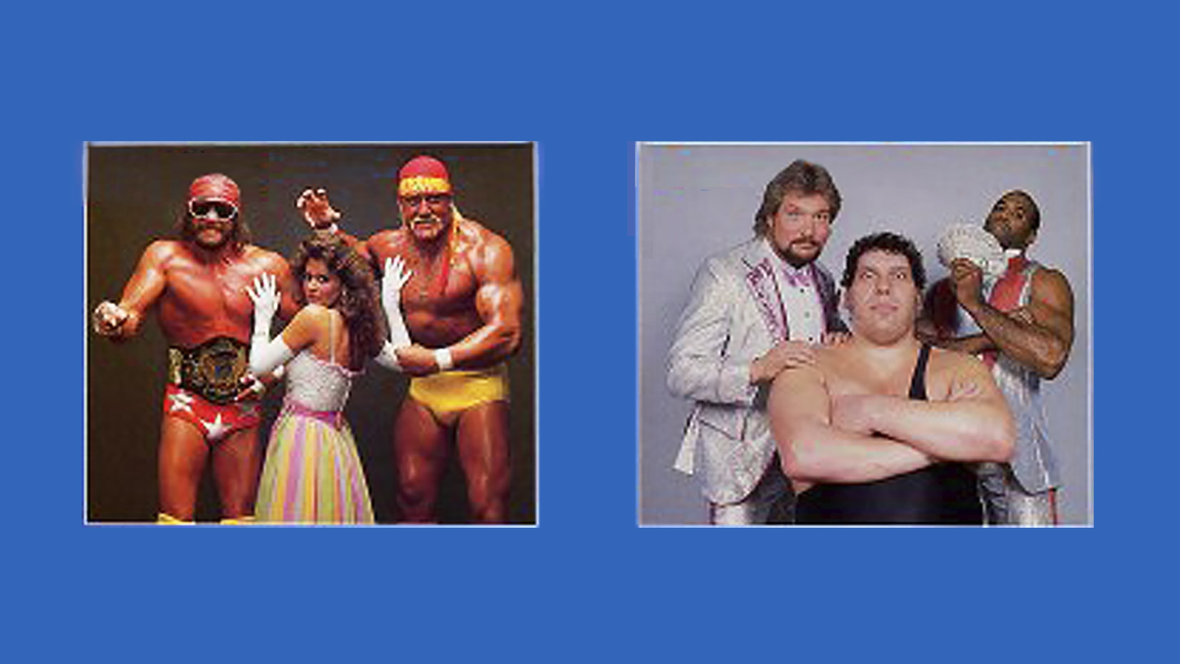 WWE SummerSlam 1988 Background