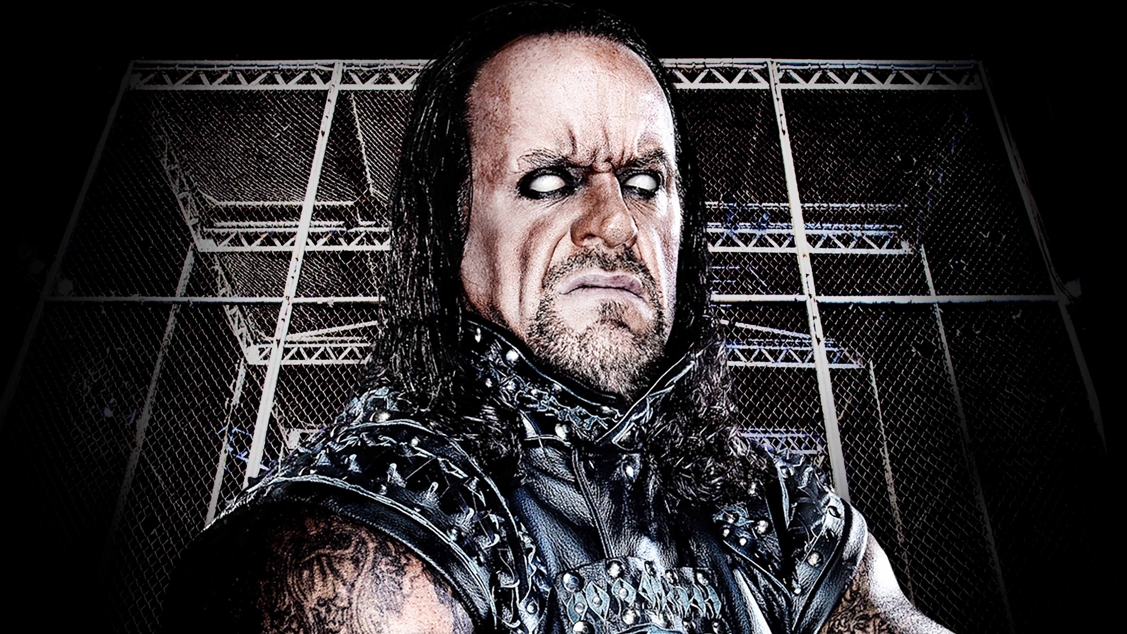 WWE Hell In A Cell 2010 Background