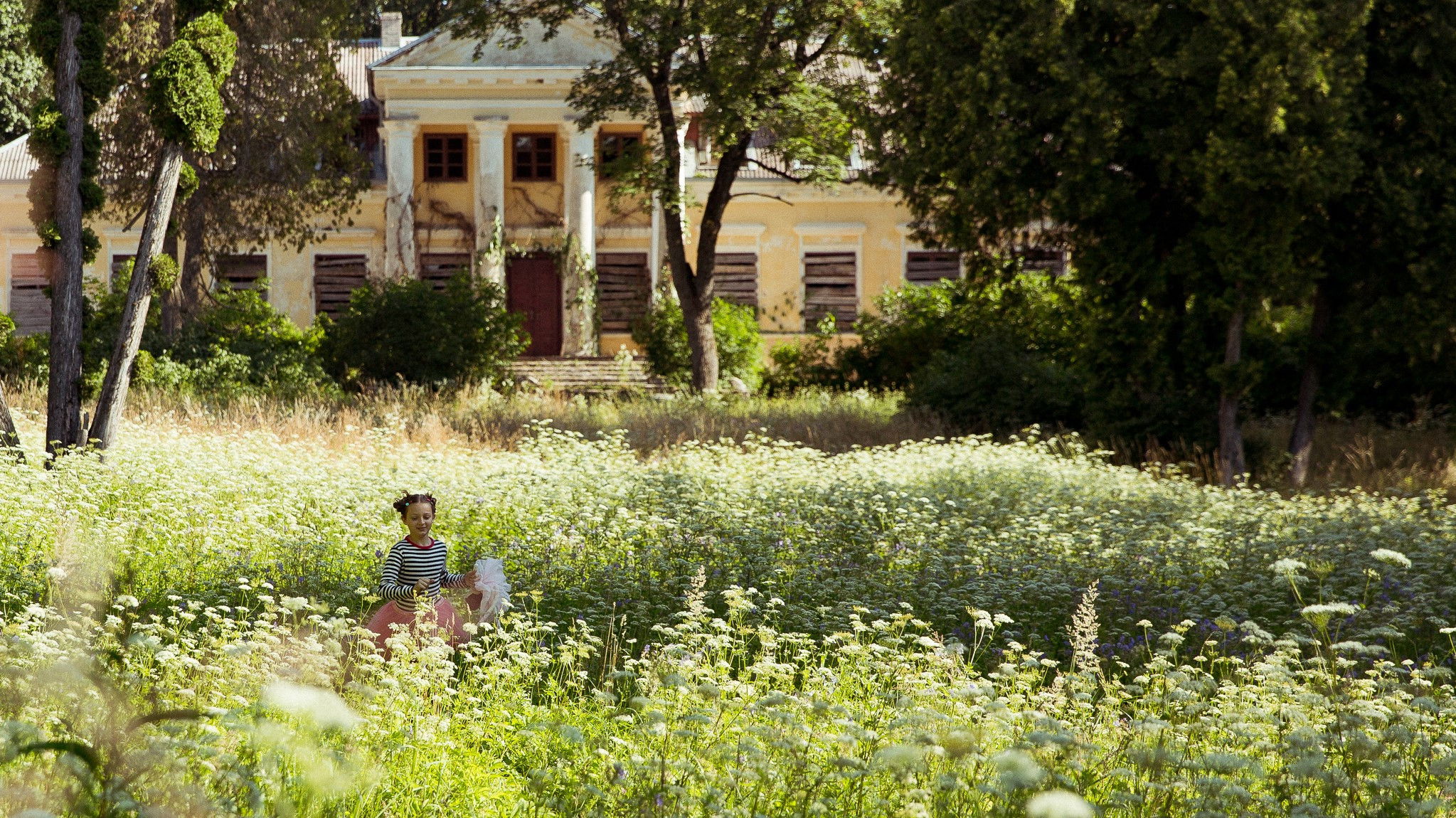 A Butterfly's Heart Background