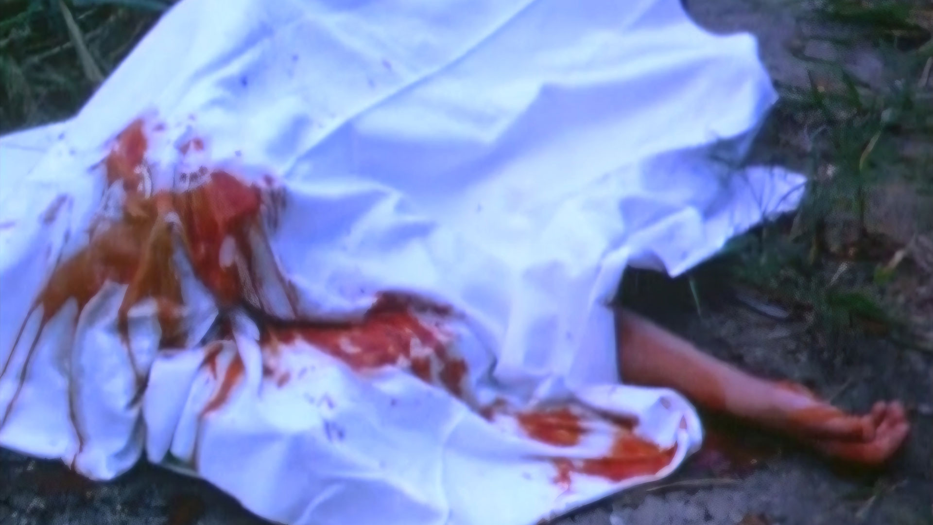 Weasels Rip My Flesh Background